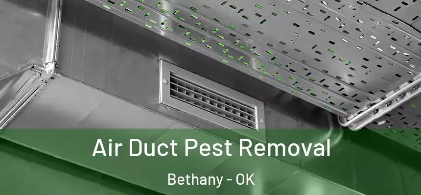 Air Duct Pest Removal Bethany - OK