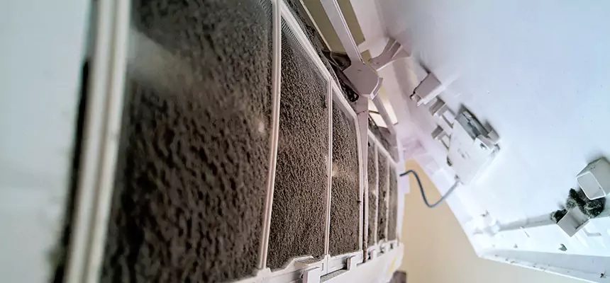 Preventive Air Duct Bacteria Removal in Bethany