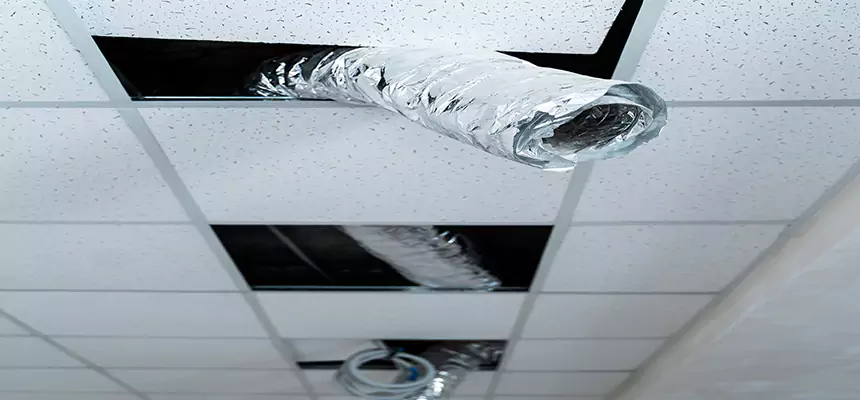 Our Air Duct Pet Hair Removal Services in Bethany, OK