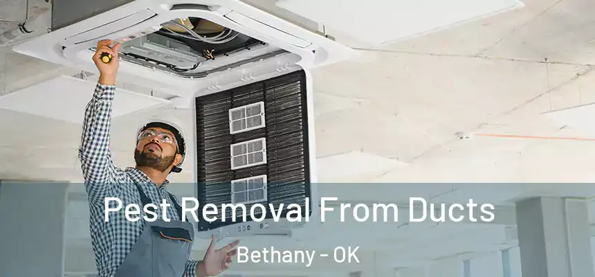  Pest Removal From Ducts Bethany - OK