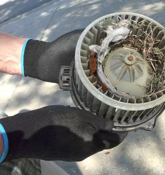 About Air Duct Rat Removal in Bethany, OK